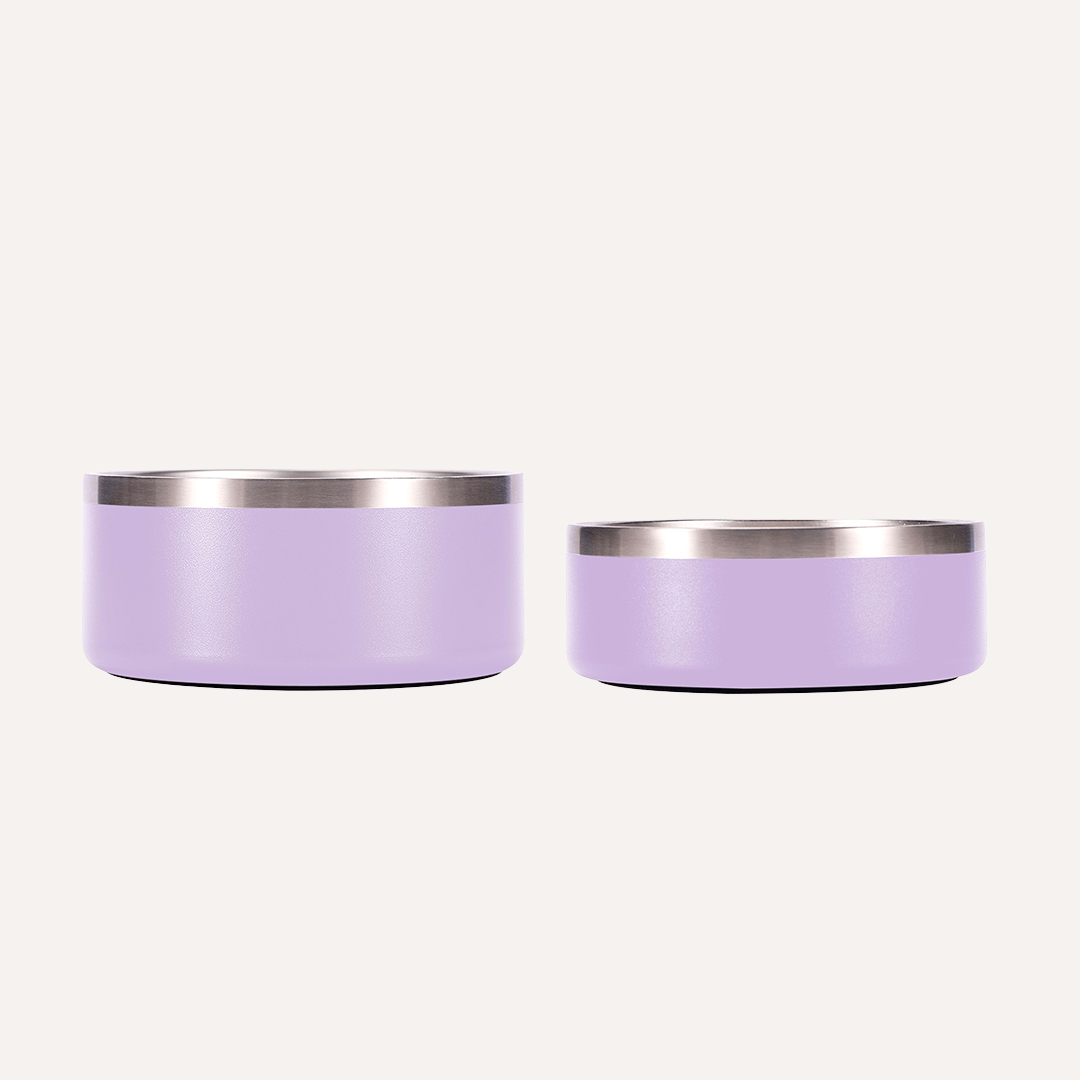 Tilley + Me Stainless Steel Pet Bowl – Non-Slip, Durable & Dishwasher Safe | 32oz and 64oz